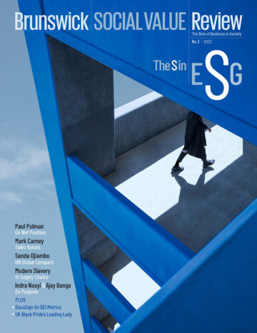 Brunswick Social Value Review S in ESG cover