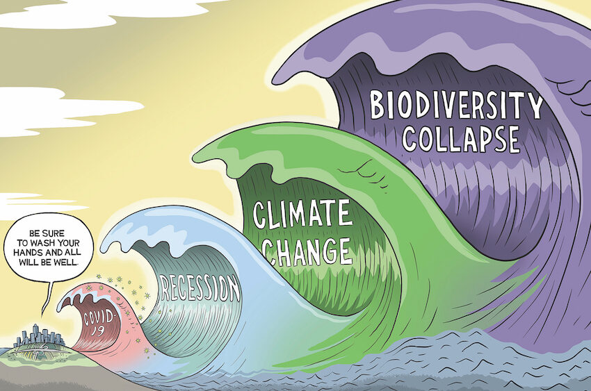 BSVR4_BiodiversityCartoon