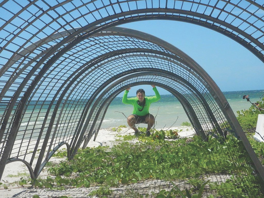 Building “Digital Living Reefs” to Save Shorelines