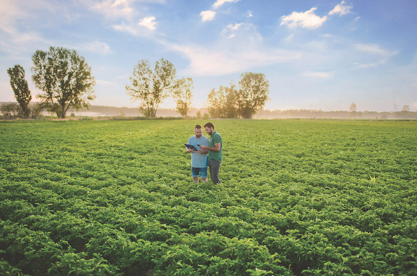 Pepsico_Crops2