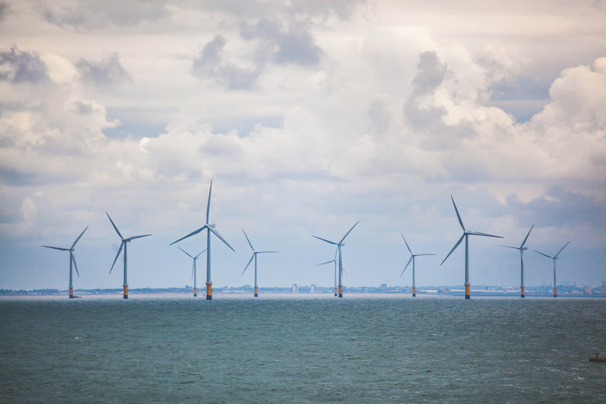 Renewable Energy in Harmony with Nature