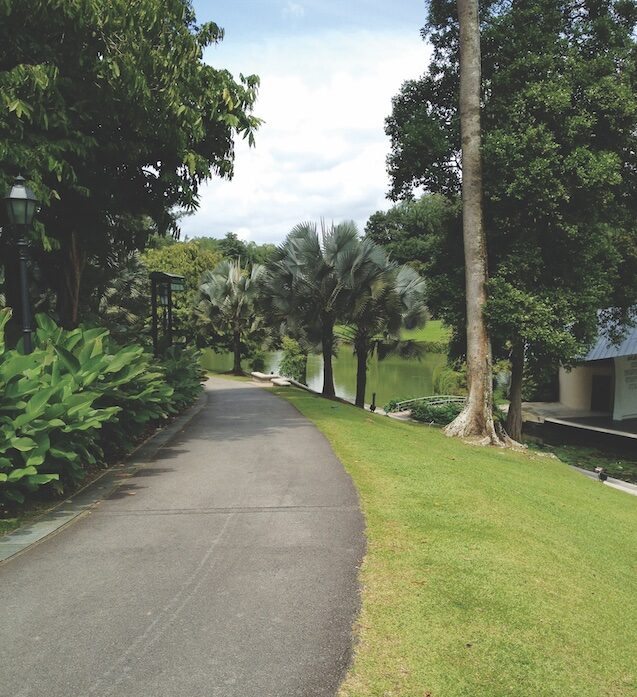 Singapore Years
