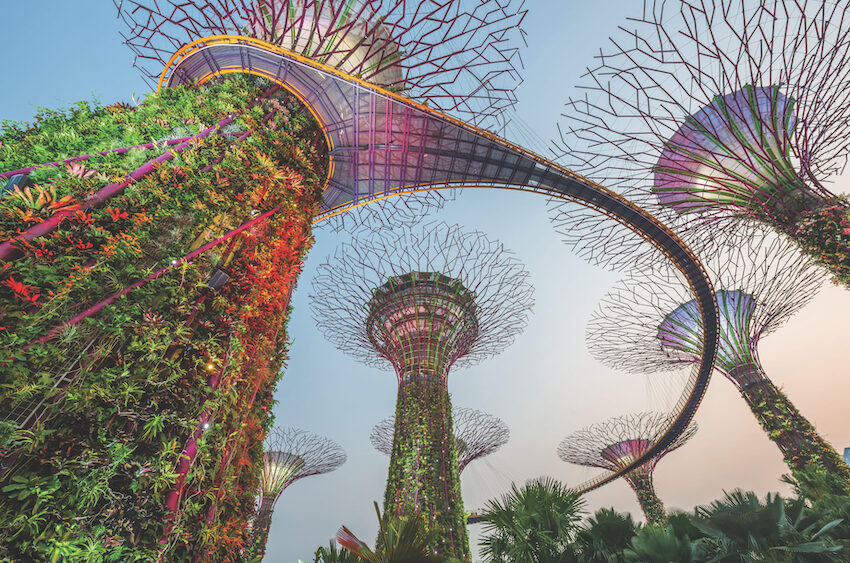 SINGAPORE – SEPTEMBER 5, 2015: Supertrees at Gardens by the Bay. The tree-like structures are fitted with environmental technologies that mimic the ec