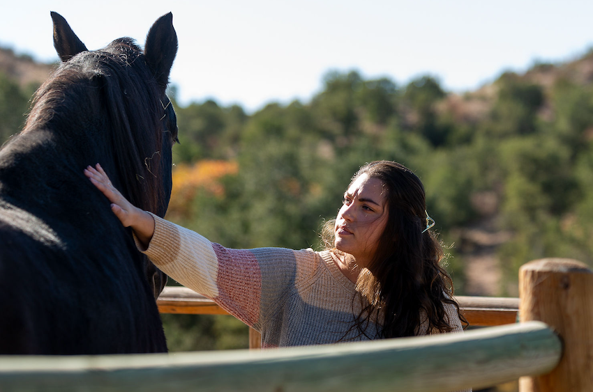 Horses_web2