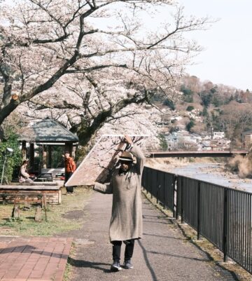 A person wearing a long coat and hat carries a large reflective board under blooming cherry blossom trees along a riverside path. Other people are seated and standing nearby under a small gazebo, with more cherry trees and a bridge in the background.