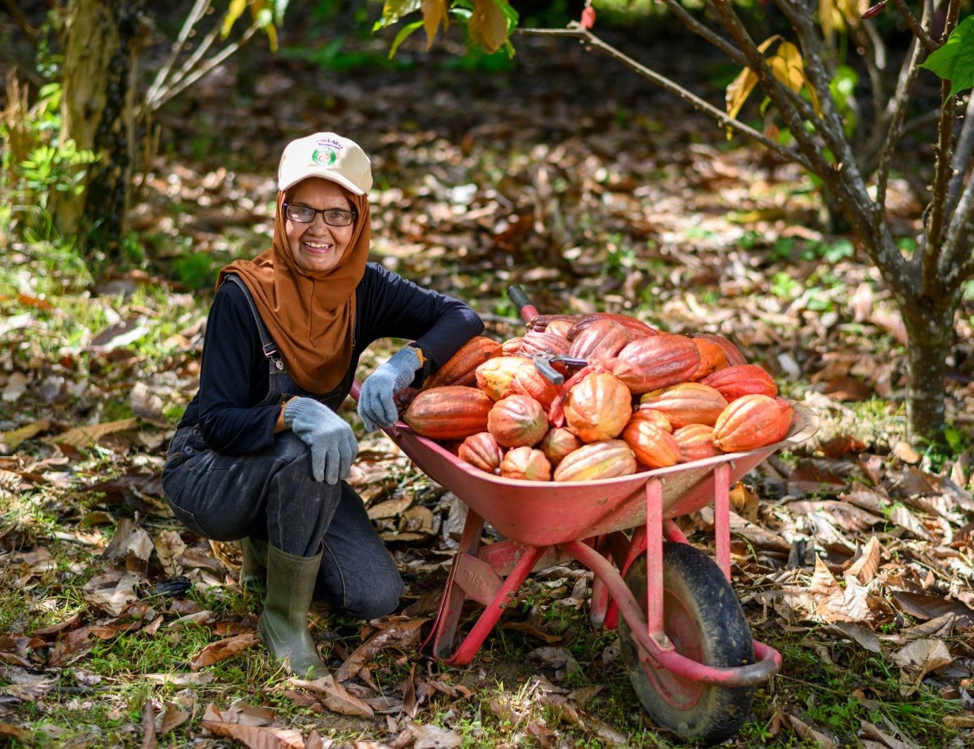 a woman in a field crouched next to a wheelbarrow full of cocoa beans.